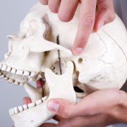 doctor showing temporomandibular joint